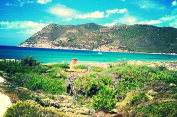 campo home campo home